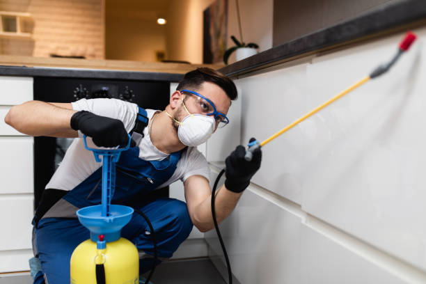Best Emergency Pest Control  in Hidden Hills, CA