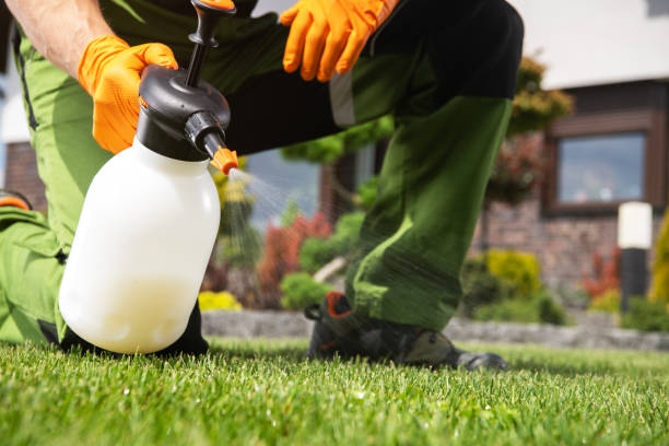 Best Pest Control Near Me in Hidden Hills, CA