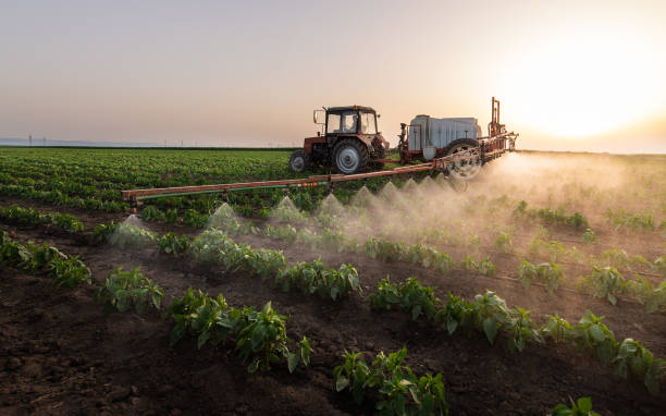Best Mosquito Control Services  in Hidden Hills, CA