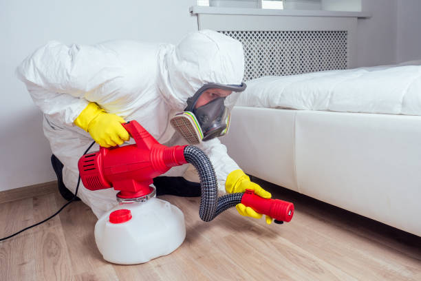 Best Pest Prevention Services  in Hidden Hills, CA