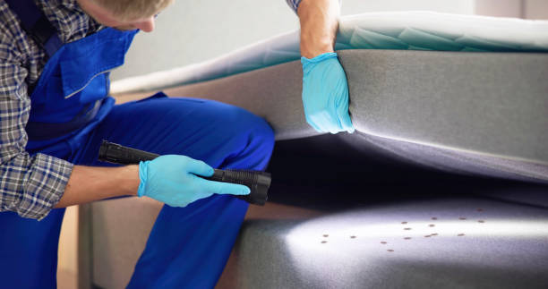 Best Affordable Pest Control Services  in Hidden Hills, CA