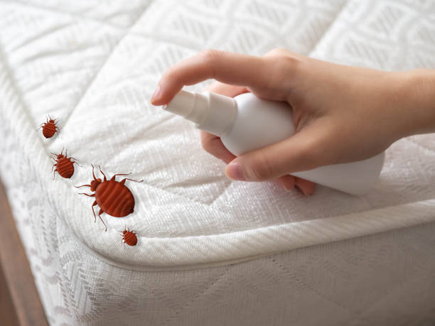 Hidden Hills, CA Pest Control Company