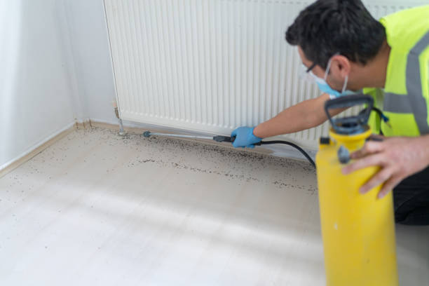Best Wasp Removal Services  in Hidden Hills, CA